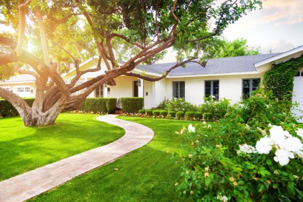 Clean yard after yard debris removal services