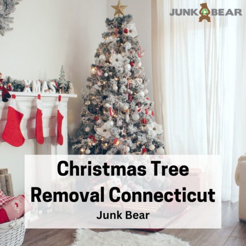 A Graphic for Christmas Tree Removal Connecticut