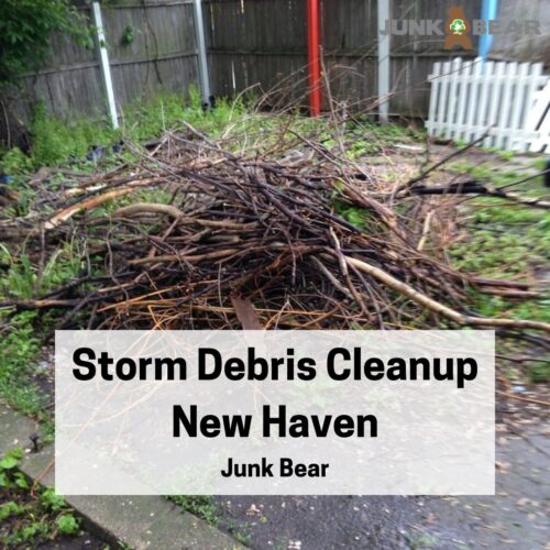 A Graphic for Storm Debris Cleanup New Haven