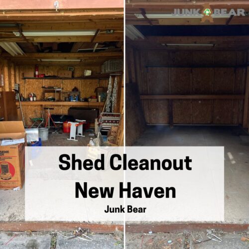A Graphic for Shed Cleanout New Haven