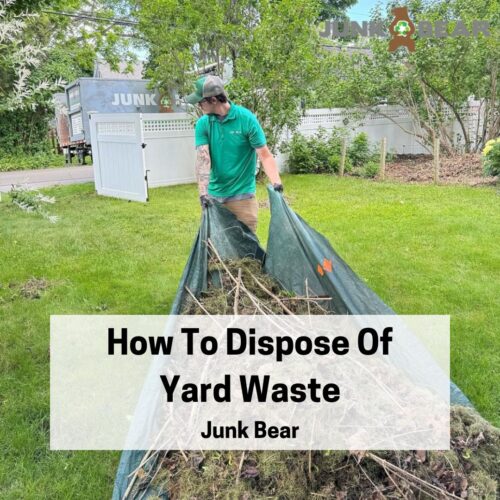 A Graphic for How To Dispose Of Yard Waste